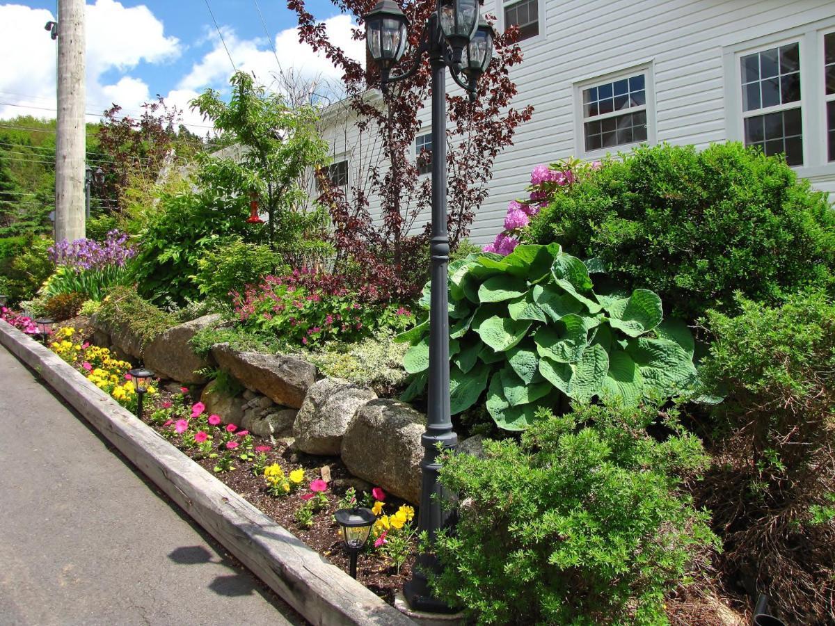 Larinda'S Landing Oceanfront Cottages Halifax Eksteriør bilde